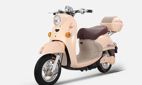 十大電動(dòng)車品牌謀求新發(fā)展 產(chǎn)品和服務(wù)是關(guān)鍵